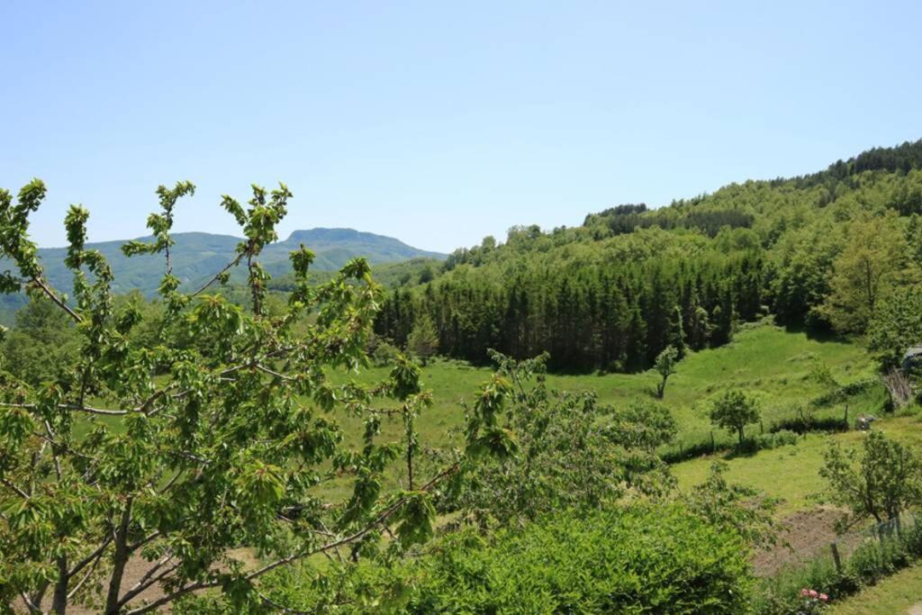 La Sala Vecchia - Lovely Tuscan Holiday House Badia Prataglia, Casentino Valley Chiusi della Verna Buitenkant foto